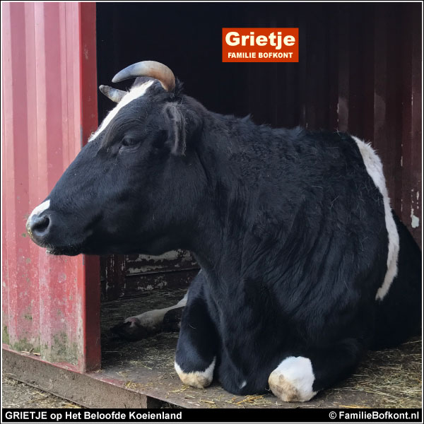 GRIETJE op Het Beloofde Koeienland