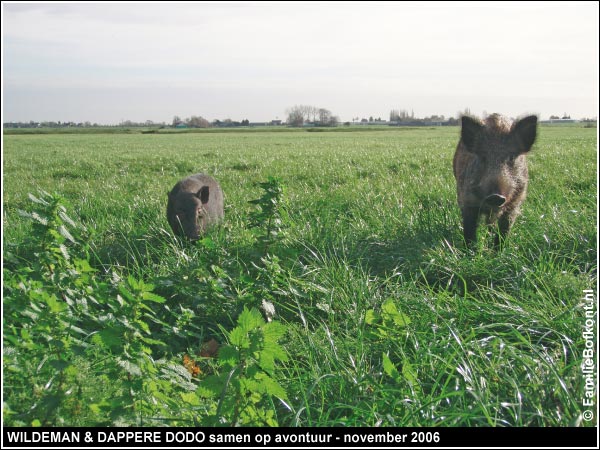 WILDEMAN & DAPPERE DODO samen op avontuur - november 2006