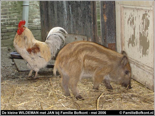 De kleine WILDEMAN met JAN bij Familie Bofkont - mei 2006