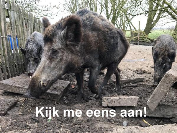 Kijk me eens aan!