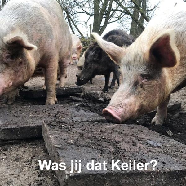 Was jij dat Keiler?