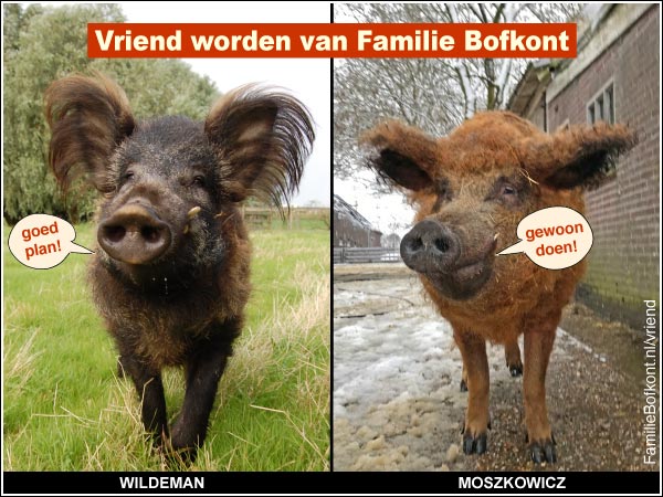 WILDEMAM - MOSZKOWICZ vriend worden van Familie Bofkont?