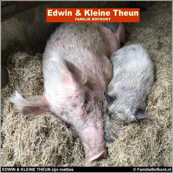 EDWIN & KLEINE THEUN zijn matties