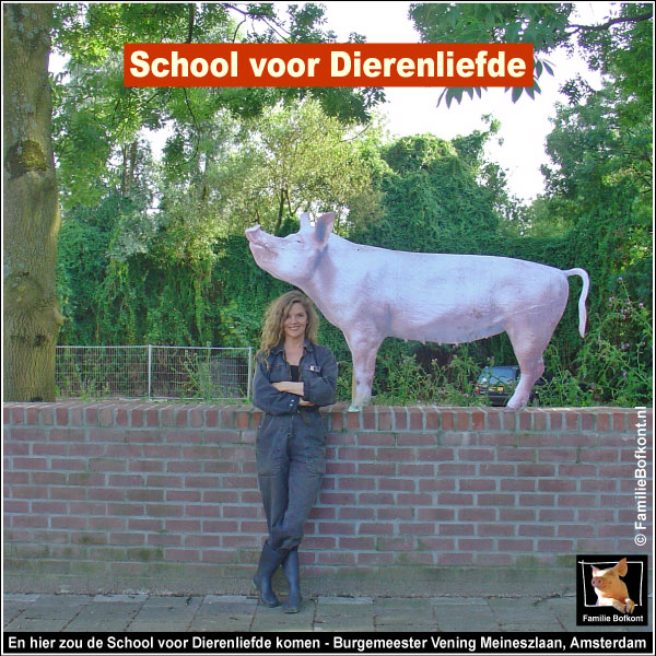 En hier zou de School voor Dierenliefde komen - Burgemeester Vening Meineszlaan, Amsterdam