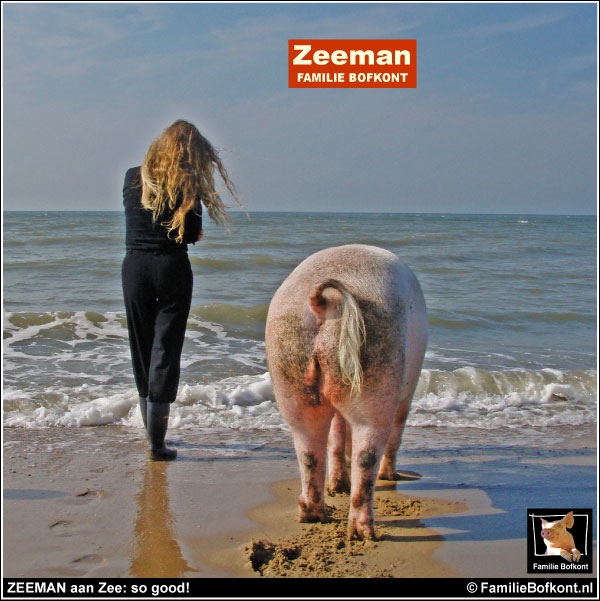 ZEEMAN aan Zee: so good!