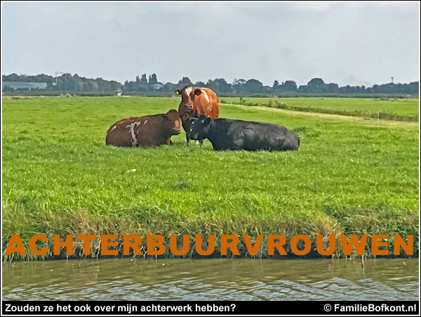 ACHTERBUURVROUWEN - Zouden ze het ook over mijn achterwerk hebben?