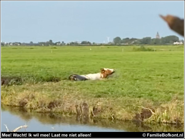Mee! Wacht! Ik wil mee! Laat me niet alleen!