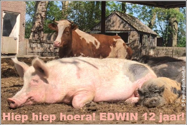 Hiep hiep hoera! EDWIN 12 jaar!