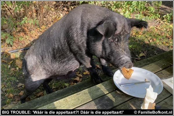 BIG TROUBLE: 'Wáár is die appeltaart?! Dáár is die appeltaart!'