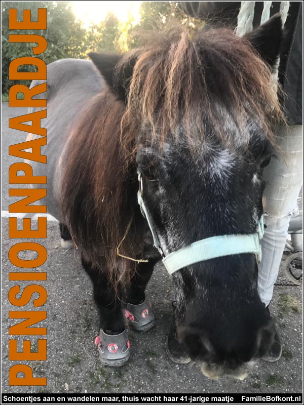 Schoentjes aan en wandelen maar, thuis wacht haar 41-jarige maatje