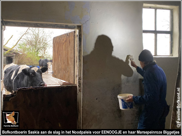 Bofkontboerin Saskia aan de slag in het Noodpaleis voor EENOOGJE en haar marsepeinroze biggetjes