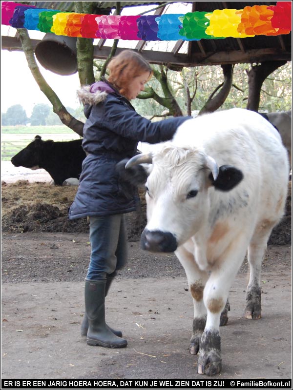 ER IS ER EEN JARIG HOERA HOERA, DAT KUN JE WEL ZIEN DAT IS ZIJ!