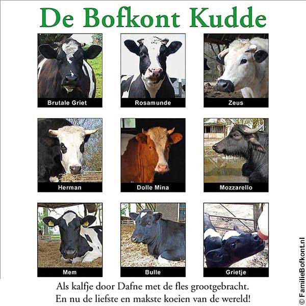 De Bofkont Kudde