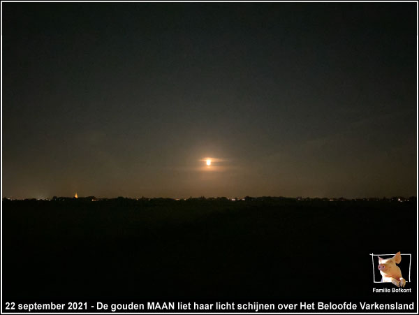 KIJK https://2021.bfknt.nl/gouden-maan-boven-het-beloofde-varkensland.jpg